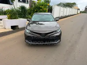 Toyota Camry 2019 Gray