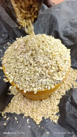 Ukwa (Breadfruit)