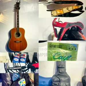Electroacoustic Dreadnought Guitar With Seven (7) Accessories_ Fender