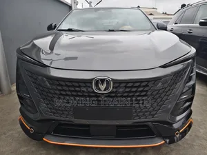 Car 2022 Gray