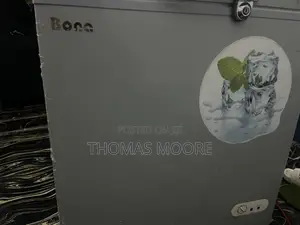 BONA Solar Deep Freezer
