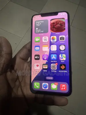 Apple iPhone XS Max 64 GB Silver