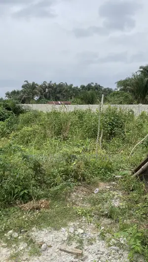 Plots of Land for Sale Near Lekki International Airport, Lagos Nigeria