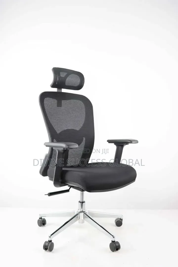 Quality Imported Ergonomic Office Chair