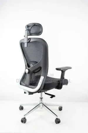 Quality Imported Ergonomic Office Chair