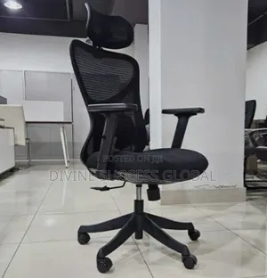 Quality Imported Ergonomic Office Chair