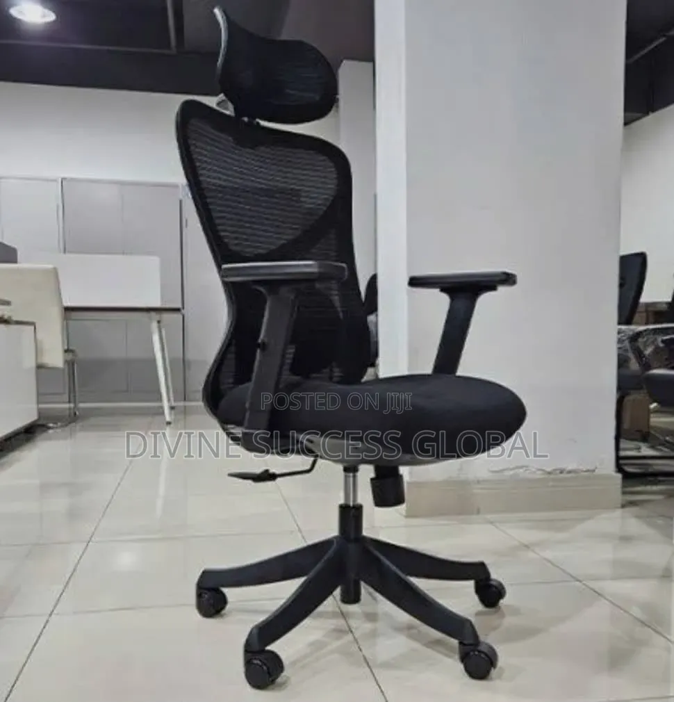 Quality Imported Ergonomic Office Chair