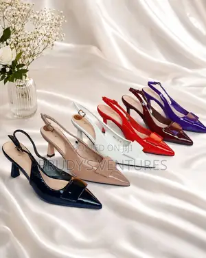 Zara Quality Heel Ladies Shoe for Coperate Wears