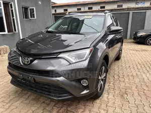Toyota RAV4 XLE AWD (2.5L 4cyl 6A) 2017 Gray