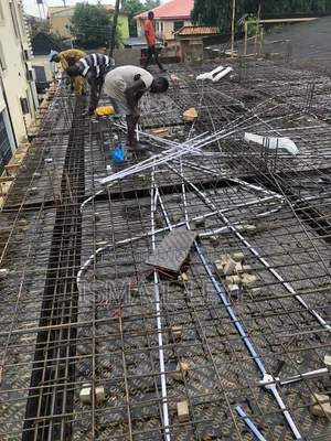 Building Frame and Carcass Construction Alone