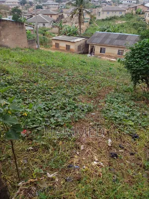 15*15 Metres of Land