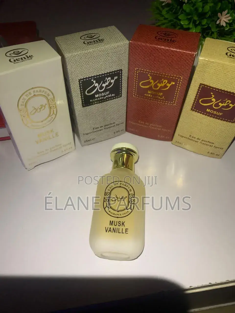 Élane Parfums