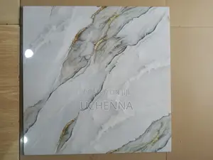 60x60 Superpolish Tiles for Living Room Bedroom and Bacony