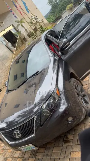 Lexus RX 2010 Gray