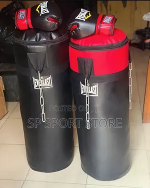 Punching Bag and Boxing Gloves