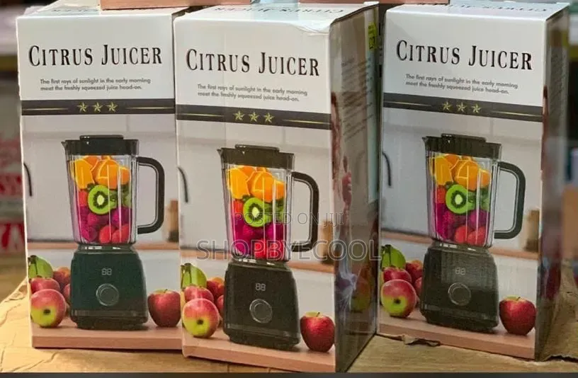 Portable Smoothie Maker