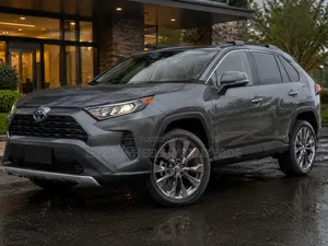 19inch for Toyoat Rav4 Newer Model Available as Seen Grey Color
