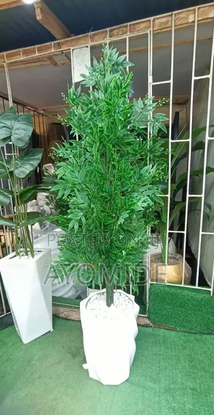 Spiral Pot and Bamboo Plant