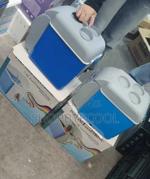 Mini Car Fridge