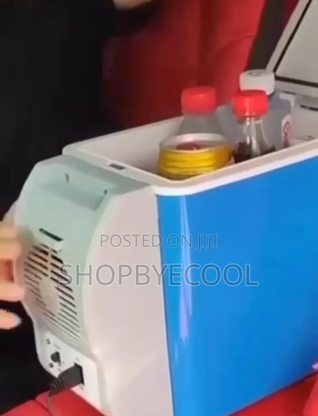 Mini Car Fridge