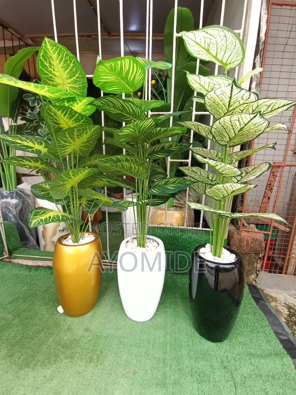 Mini Plant and Small Classic Pot