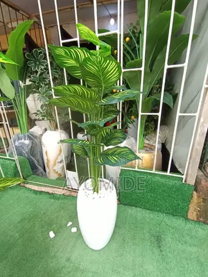 Mini Plant and Small Classic Pot