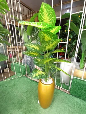 Mini Plant and Small Classic Pot
