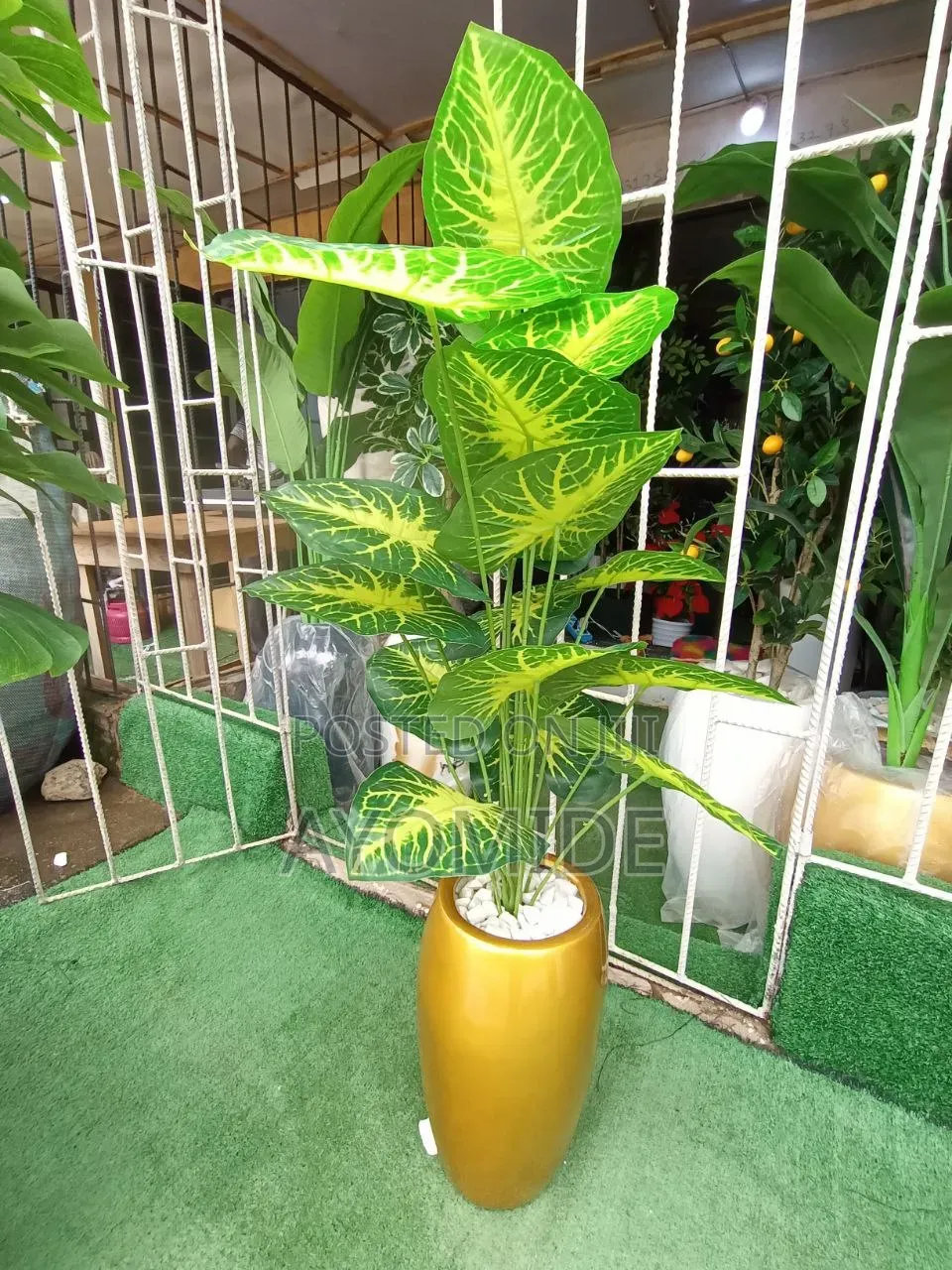 Mini Plant and Small Classic Pot