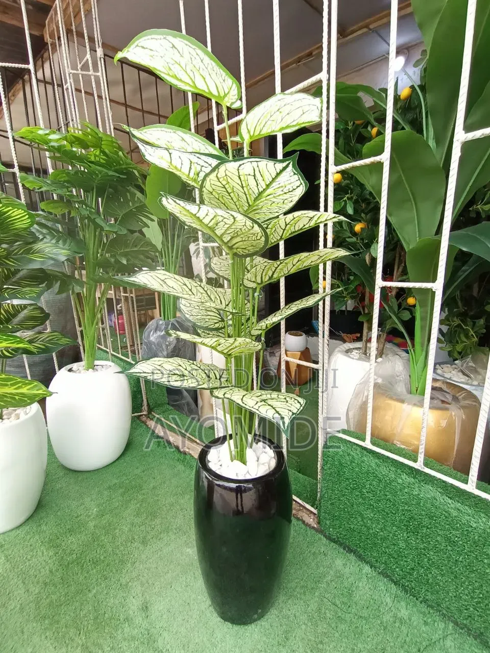 Mini Plant and Small Classic Pot
