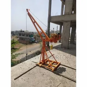 Site Mini Concrete Cement Lifting Crane