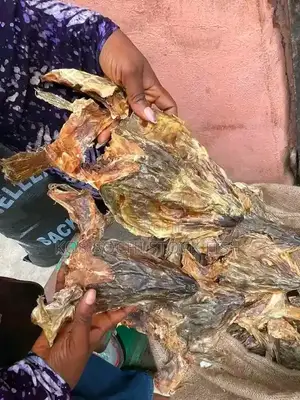 Okporoko (Stock Fish)