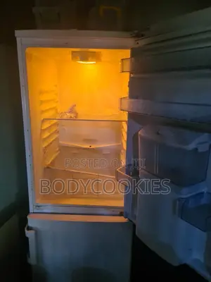 Beko Standing Fridge