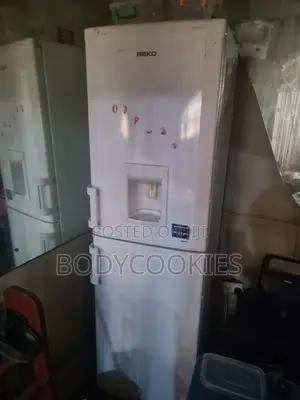 Beko Standing Fridge