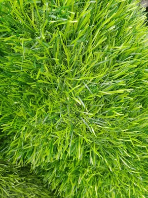 Artificial Grass. 40 Mm , Available in Different Sizes and Colour.