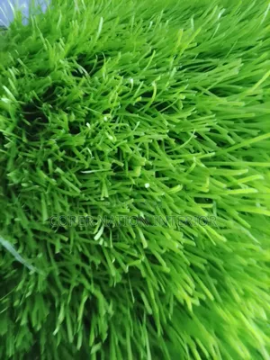 Artificial Grass 50 Mm (Football Pitch) Original Quality Grass