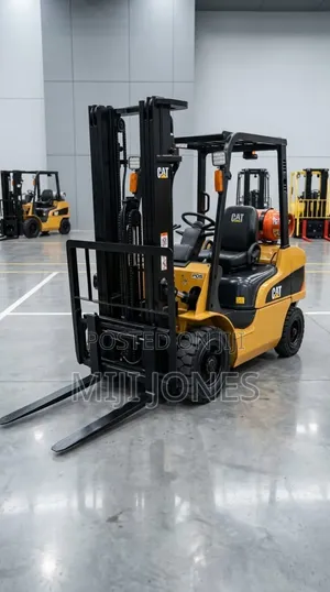 Nigerian Used Caterpillar 2.5TON Gas Forklift - Warehouse Ready`*