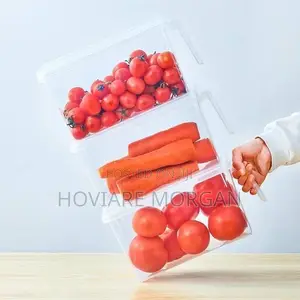 Plastic Fridge Storage