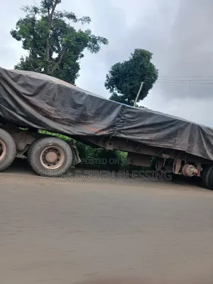 Major Supplier of Cement Both Dangote and Bua Cement