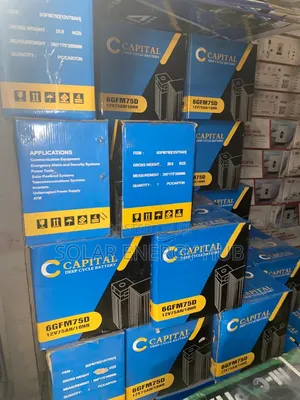 75Ah/12v Capital Deep Cell Battery