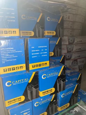 75Ah/12v Capital Deep Cell Battery