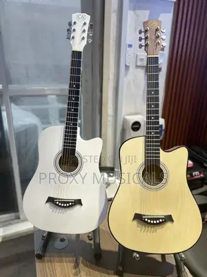 Fully Boxed Acoustic Guitars - CA