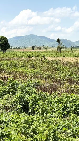 Land for Sale in Chikuku, Kuje
