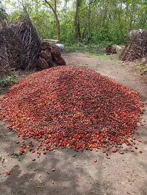 Original Red Oil
