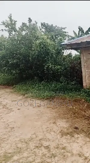 4 Plots of Land