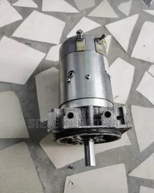 DC Motor 12/24v
