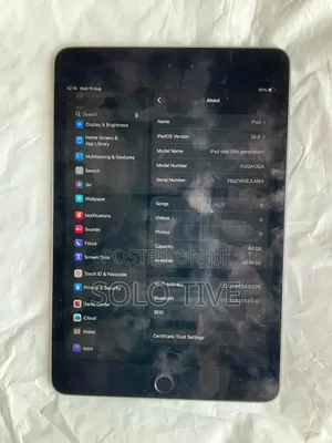 Apple iPad mini 5 (2019) 64 GB Gray