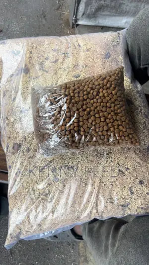 Dog Dry Food