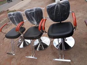 Salon Chair