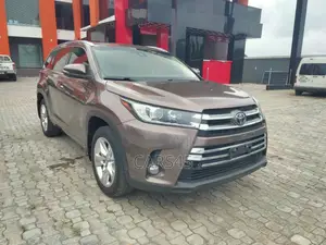 Toyota Highlander 2019 Brown
