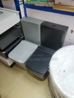 High Quality Roca wC